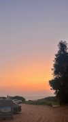 _ariel_lll Altpins Profile Picture