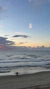 _ariel_lll Altpins Profile Picture
