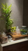 _ariel_lll Altpins Profile Picture