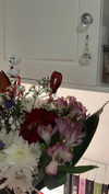 _ariel_lll Altpins Profile Picture
