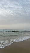 _ariel_lll Altpins Profile Picture