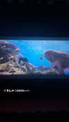 _ariel_lll Altpins Profile Picture