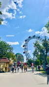_ariel_lll Altpins Profile Picture