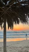 _ariel_lll Altpins Profile Picture