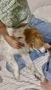 _ariel_lll Altpins Profile Picture