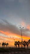_ariel_lll Altpins Profile Picture