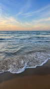 _ariel_lll Altpins Profile Picture