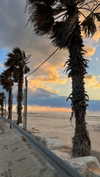 _ariel_lll Altpins Profile Picture