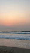 _ariel_lll Altpins Profile Picture