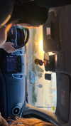 _ariel_lll Altpins Profile Picture