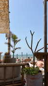 _ariel_lll Altpins Profile Picture