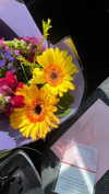 _ariel_lll Altpins Profile Picture