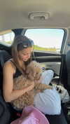 _ariel_lll Altpins Profile Picture