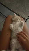 _ariel_lll Altpins Profile Picture