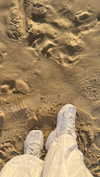 _ariel_lll Altpins Profile Picture