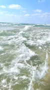 _ariel_lll Altpins Profile Picture