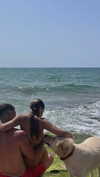 _ariel_lll Altpins Profile Picture