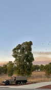 _ariel_lll Altpins Profile Picture