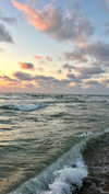 _ariel_lll Altpins Profile Picture