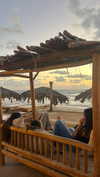 _ariel_lll Altpins Profile Picture