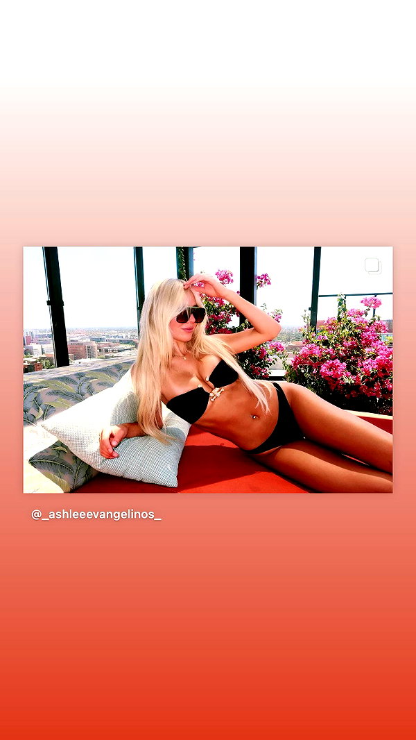 _ashleeevangelinos_ _ashleeevangelinos_ archive image