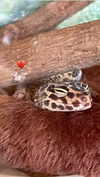 _dafi_lu Altpins Profile Picture