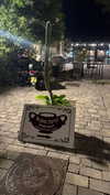 _lil_noa_ Altpins Profile Picture