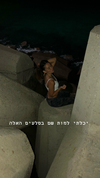 _lironatias Altpins Profile Picture