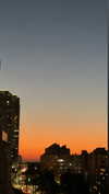_lironatias Altpins Profile Picture