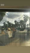 _lironatias Altpins Profile Picture