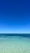 _lucycartwright Altpins Profile Picture