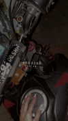 _mashachka_ Altpins Profile Picture