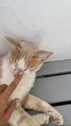 _mashachka_ Altpins Profile Picture