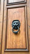 _mashachka_ Altpins Profile Picture