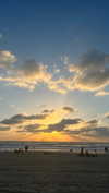 _mashachka_ Altpins Profile Picture
