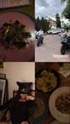 _mashachka_ Altpins Profile Picture