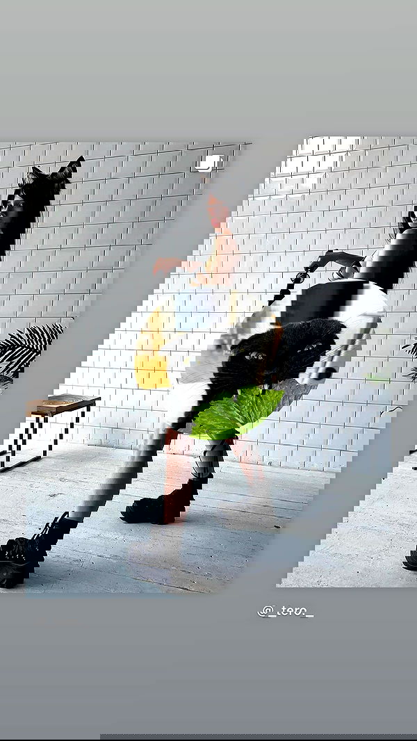 _tero._ image ~ Altpins