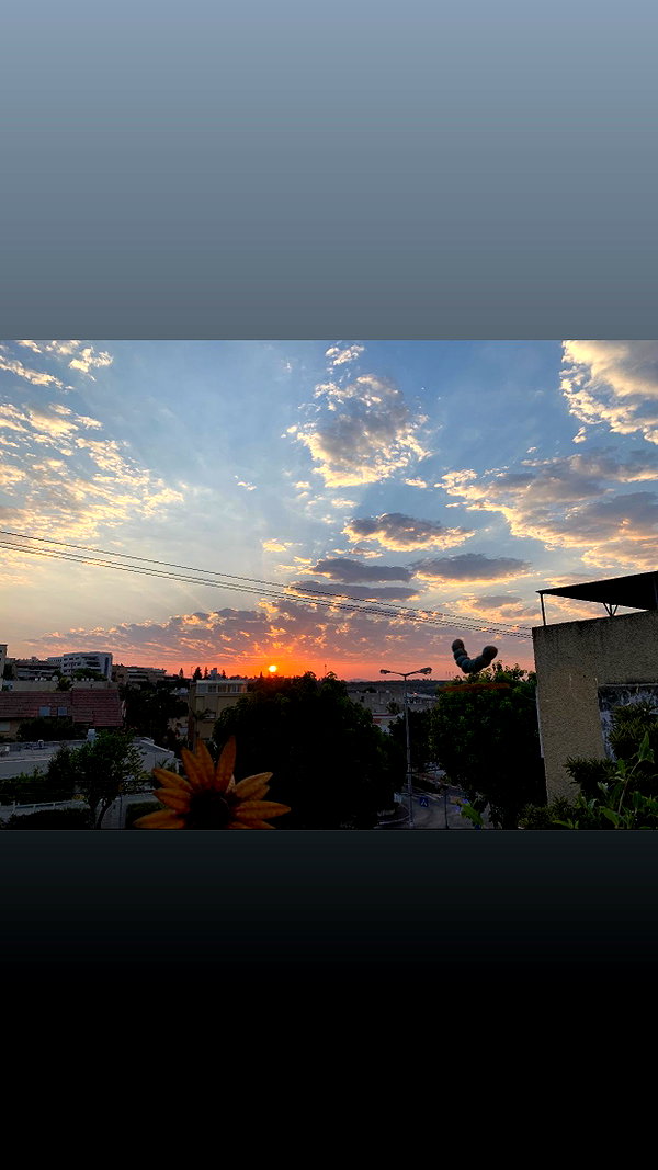 adel__s_ instagram image archive image