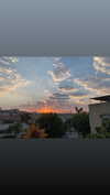 adel__s_ Altpins Profile Picture