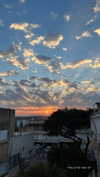 adel__s_ Altpins Profile Picture