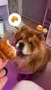adel__s_ Altpins Profile Picture