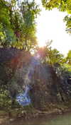 adel__s_ Altpins Profile Picture
