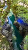 adel__s_ Altpins Profile Picture