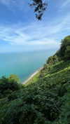 adel__s_ Altpins Profile Picture