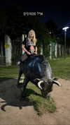adel__s_ Altpins Profile Picture