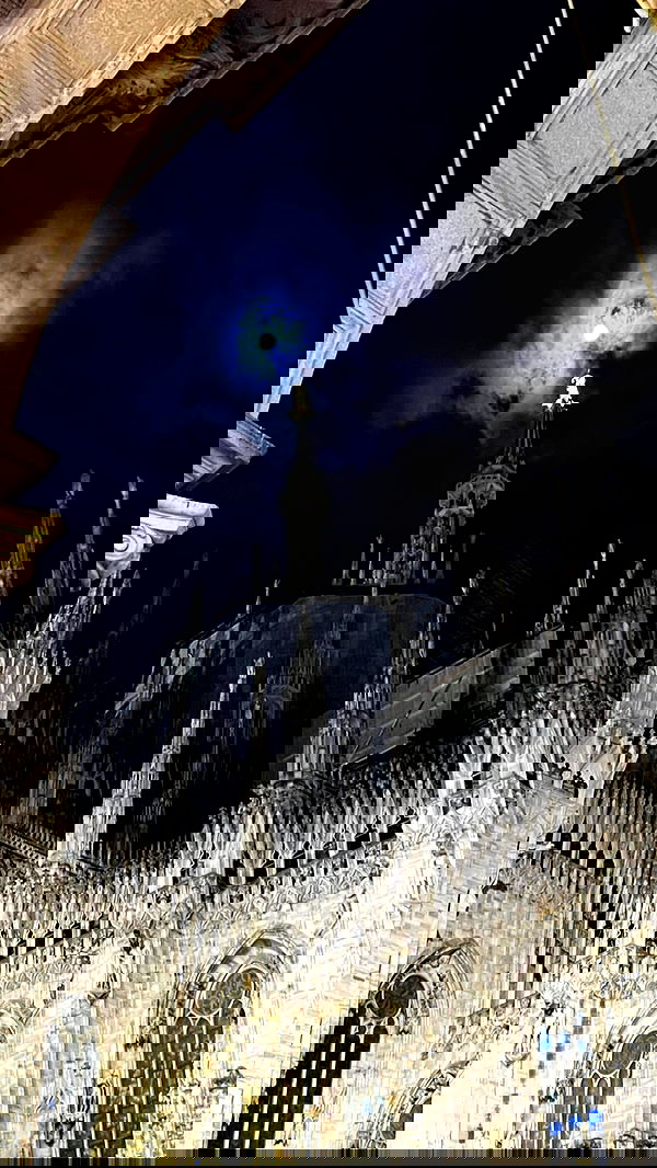 adellepisar adellepisar archive image