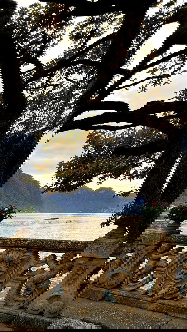 adellepisar adellepisar archive image