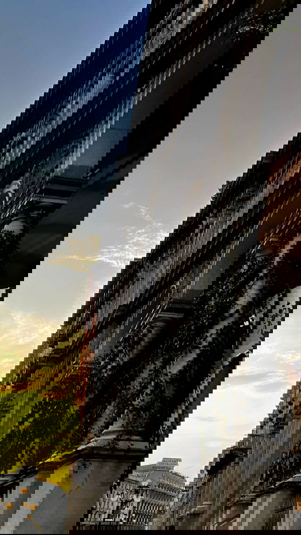 adellepisar adellepisar archive image