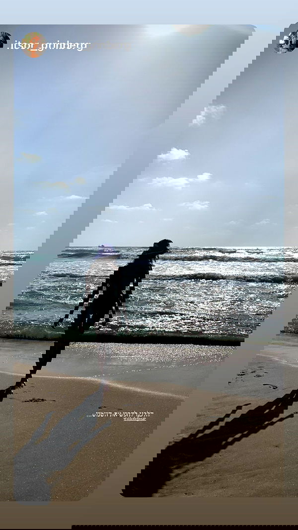 adellepisar adellepisar archive image