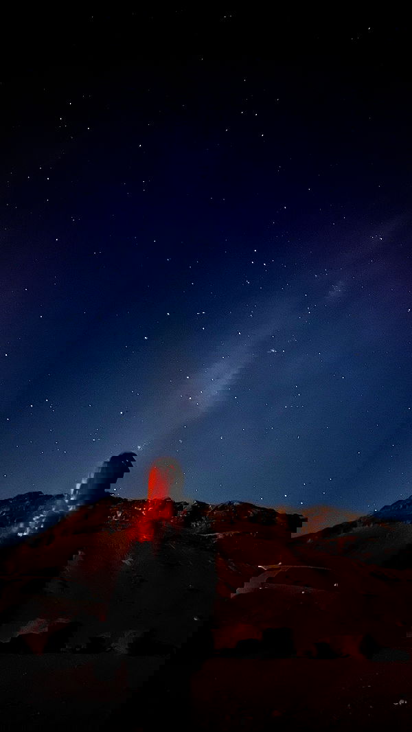 adellepisar adellepisar archive image